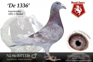 NL94-0071336 The 1336