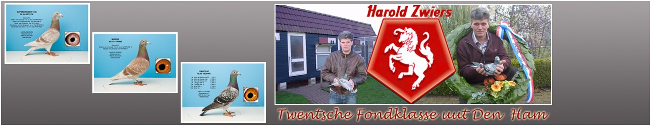 Harold Zwiers – Den Ham